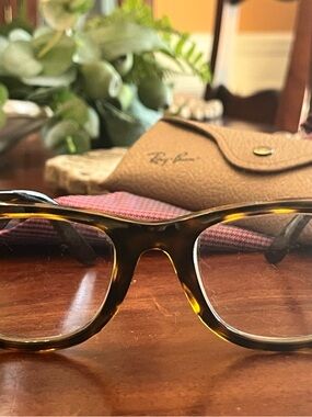 Ray-Ban Black Wayfarer Eyeglasses with Tan Case